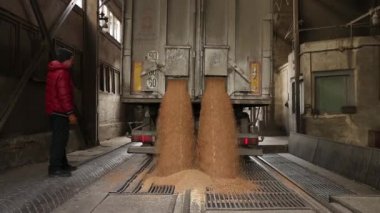 tahıl kamyon boşaltma.