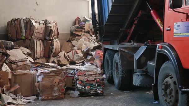 Großes Werk für Recycling von Papier und Karton. — Stockvideo