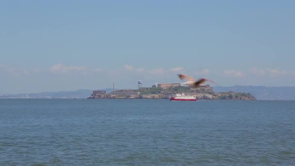 Tourist boat sails near the island of Alcatraz — Stock Video