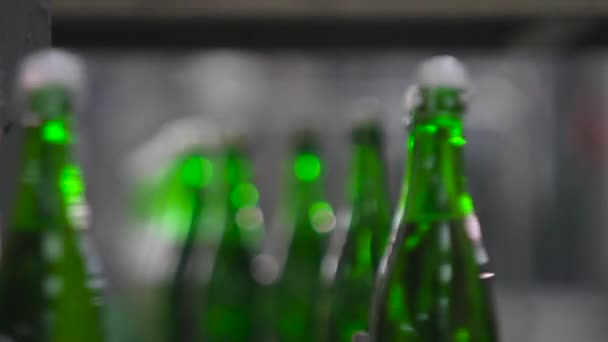 Flaskor med grön färg flytta längs transportband — Stockvideo