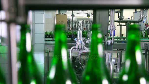 Flaskor med grön färg flytta längs transportband — Stockvideo