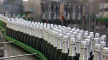Kiev, Ukrayna - 2017 olabilir: Yeşil şişe konveyör fabrikasında şampanya şarap, yakın çekim ön planda boyunca hareket ediyor. Şişe şampanya Fabrikası'nda.