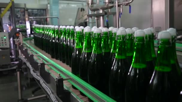 グリーンのボトルは クローズ アップ 前景でスパーク リング ワインの工場でコンベアに沿って動いています バック グラウンドでのスパーク リング ワインの工場ワーク — ストック動画