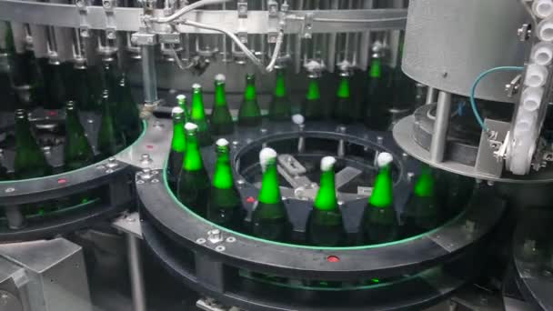 瓶绿色的颜色在香槟酒厂的传送带上移动 装满香槟的空瓶子 塞满塞子 在香槟工厂的传送带 香槟制造厂 — 图库视频影像