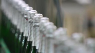 Kiev, Ukrayna - 2017 olabilir: Yeşil renk şişe şampanya şarap, bir fabrikada konveyör boyunca hareket yakın çekim. Şişe şampanya fabrikasında alüminyum folyo ile kaplı kalır. Şampanya fabrikası.