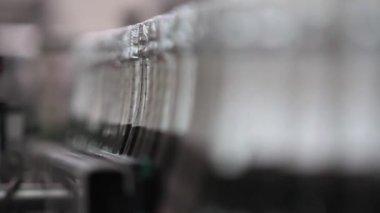 Kiev, Ukrayna - 2017 olabilir: Yeşil renk şişe şampanya şarap, bir fabrikada konveyör boyunca hareket yakın çekim. Şişe şampanya fabrikasında alüminyum folyo ile kaplı kalır. Şampanya fabrikası.