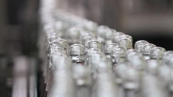 Киев Украина Май 2017 Бутылки Зеленого Цвета Перемещаются Конвейеру Заводе — стоковое видео