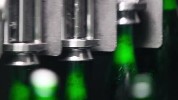 Наполнение пустых бутылок шампанским — стоковое видео
