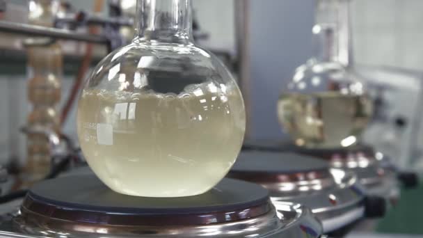 Bulb with boiling liquid close-up. — Stock Video