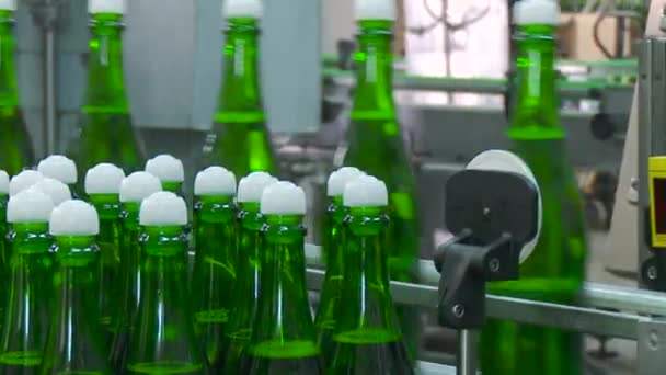 Fabriek voor de productie van champagne. — Stockvideo