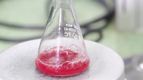 El líquido rojo está burbujeando en un frasco — Vídeos de Stock