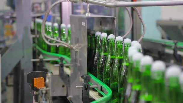 Fabriek voor de productie van champagne. — Stockvideo