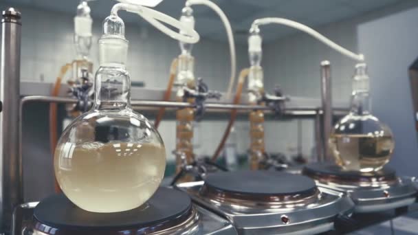실험실에서 플라스 크에 액체를 끓는. — 비디오