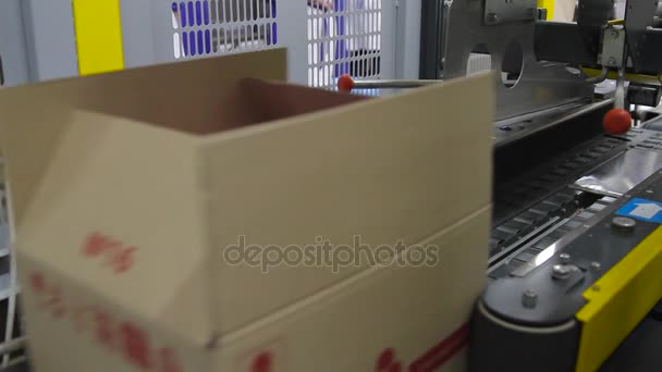 Embalagem de sorvete em caixas de papelão — Vídeo de Stock