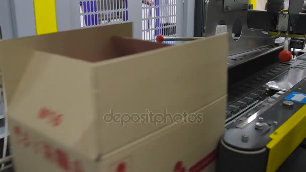 Embalaje de helado en cajas de cartón — Vídeos de Stock