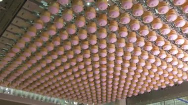 Konveyör hattı dondurma. Pembe meyveli ve vanilyalı dondurma waffle Kupası'nda. Bir külah dondurma. Dondurma dondurma Fabrikası'nda dükkanda.