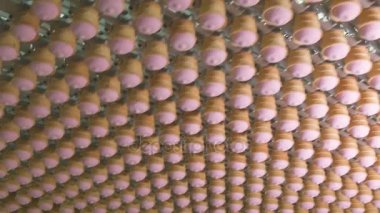 Konveyör hattı dondurma. Pembe meyveli ve vanilyalı dondurma waffle Kupası'nda. Dondurma Fabrikası. Doku dondurma. Bir külah dondurma.
