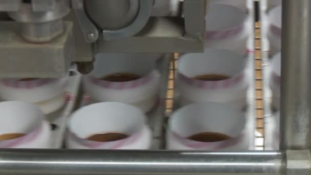 Ligne de production de crème glacée . — Video