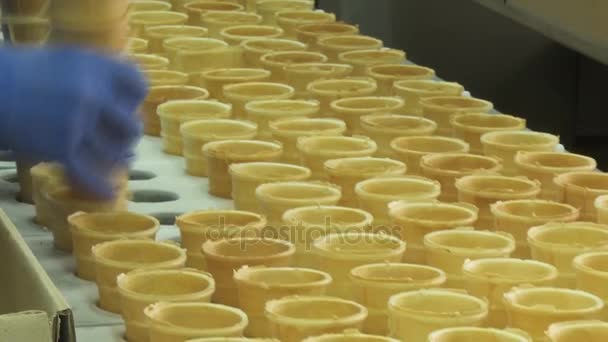 Trabalhador Coloca Copos Wafer Nos Assentos Transportador Para Enchê Los — Vídeo de Stock