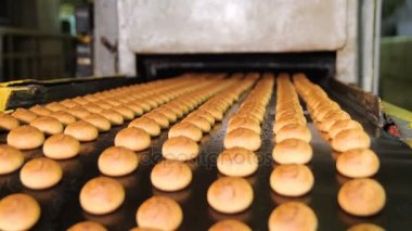 Taze bisküvi fabrikasında yapılan