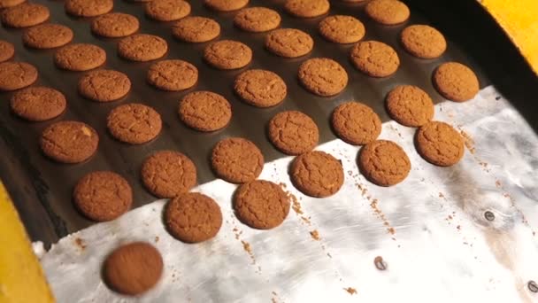 I biscotti lasciano il forno in panetteria . — Video Stock