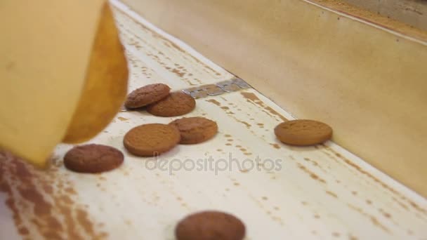 Biscotti appena sfornati . — Video Stock