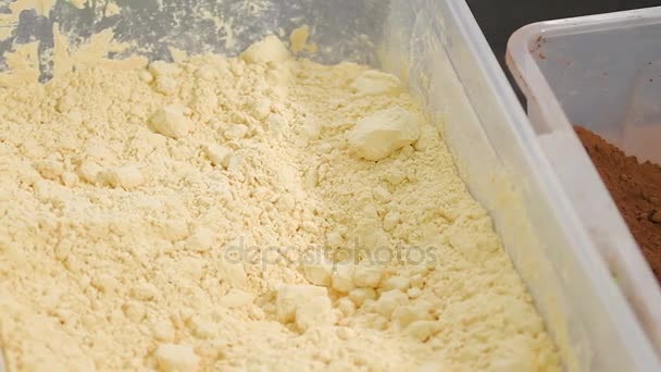 Dry vanilla and cocoa powder. — Stock Video