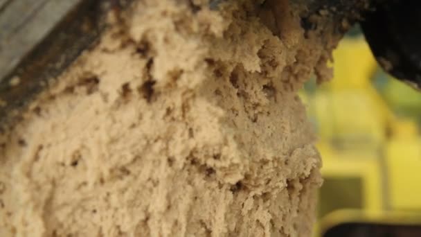 Masa para la producción de pan de jengibre y galletas — Vídeos de Stock