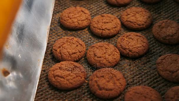 Pliki cookie są ruchu na linii przenośnika. — Wideo stockowe