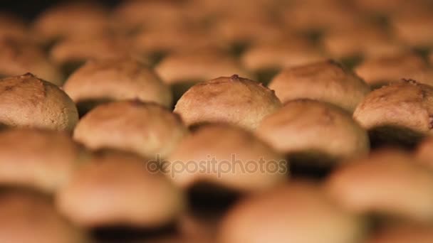 Fresh biscuits made in the factory — Stock Video