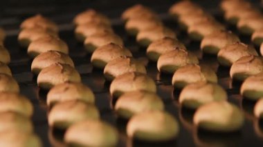 Sadece pişmiş gingerbread.