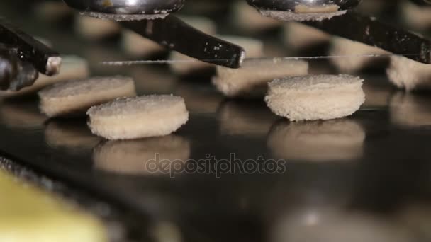 Preparazione di biscotti di farina d'avena — Video Stock
