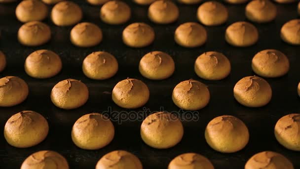 Galletas frescas hechas en la fábrica — Vídeo de stock