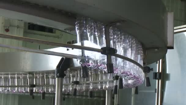 Bouteilles en plastique dans la ligne de production . — Video