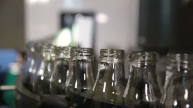 Süt şişeleri ile konveyör.