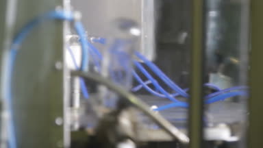 Süt sektöründe paketleme şişe hattı.