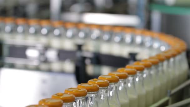 Línea de envasado de botellas en la industria láctea . — Vídeo de stock