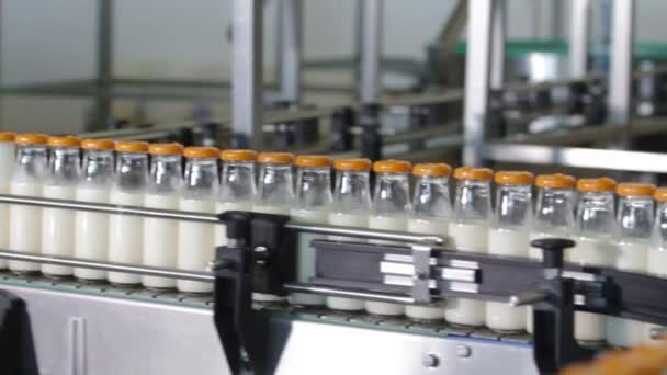 Packaging bottles line in the milk industry. — Stock Video