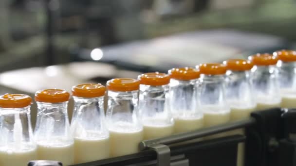 Süt sektöründe paketleme şişe hattı. — Stok video