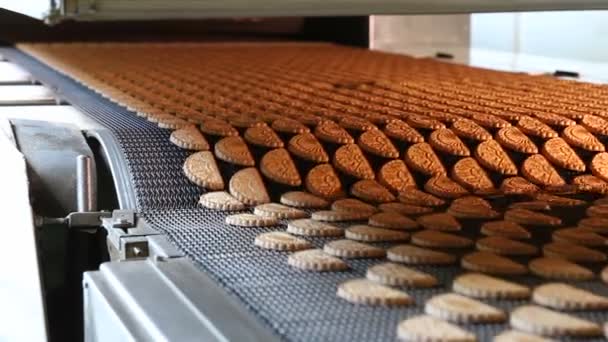 Linia produkcyjna do pieczenia ciasteczek. — Wideo stockowe