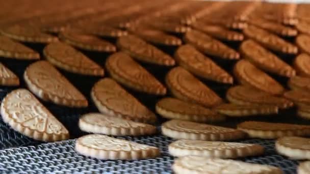 Čerstvě napečené sušenky nechte troubu. — Stock video