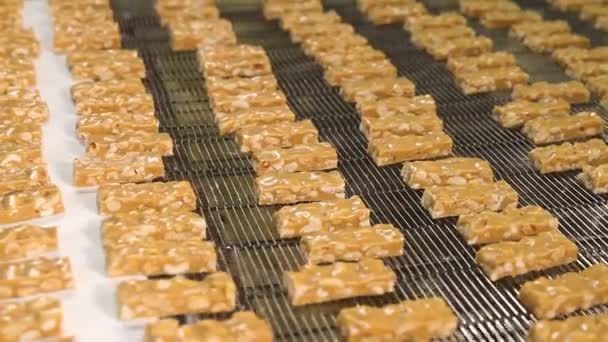 Бары нуги с арахисом на производственной линии — стоковое видео