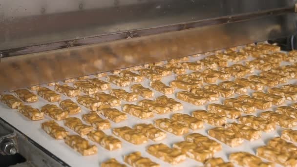 Barer av nougat med jordnötter på produktionslinjen — Stockvideo