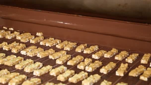 Nougat med nötter och choklad i fabriken — Stockvideo