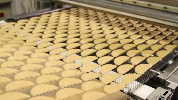 Vorming van deeg voor koekjes in de fabriek — Stockvideo