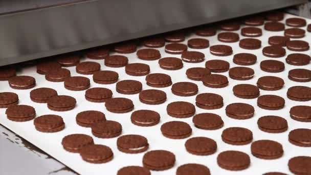 Cacao cookies van twee lagen met room — Stockvideo