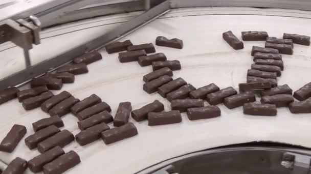 Dulces en un transportador de fábrica de chocolate . — Vídeo de stock