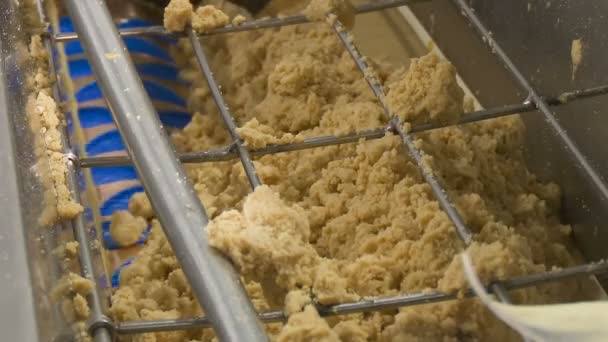 Deeg voor het bakken van koekjes. — Stockvideo