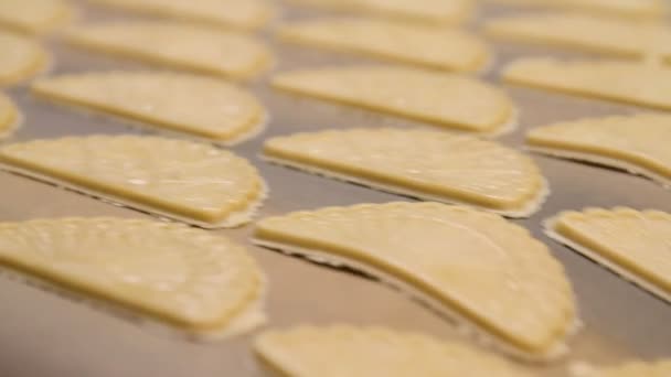 Formar masa para galletas en la fábrica — Vídeos de Stock