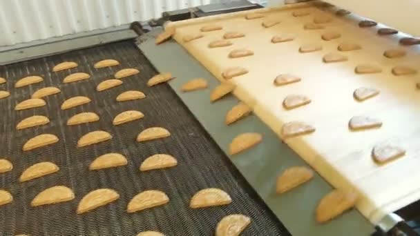 Conveyor with cookies. — Stock Video